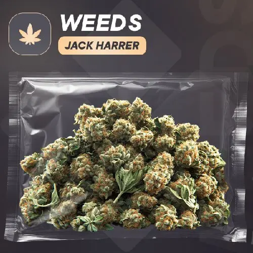 ШИШКИ | Jack Herer